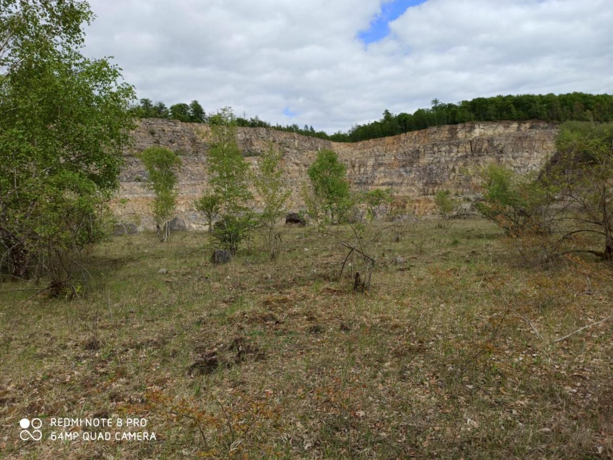 Ferienwohnung Colin Im Schoenen Weserbergland Naehe Freizeitpark Salzhemmendorf ภายนอก รูปภาพ