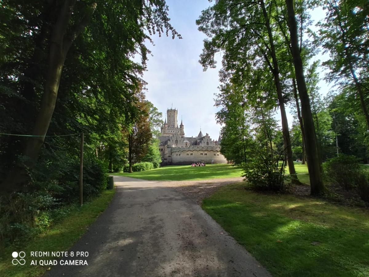 Ferienwohnung Colin Im Schoenen Weserbergland Naehe Freizeitpark Salzhemmendorf ภายนอก รูปภาพ